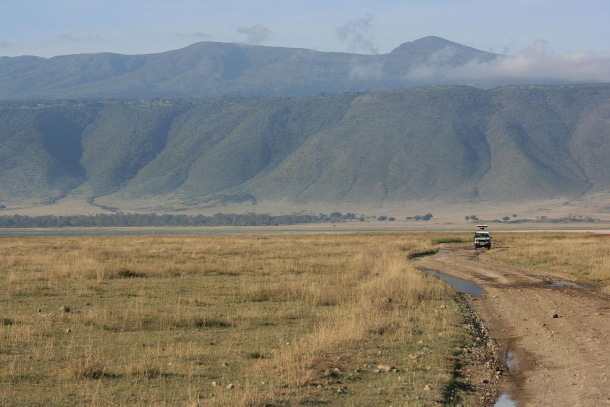 Serengeti -12-6-10-2008-734-w   